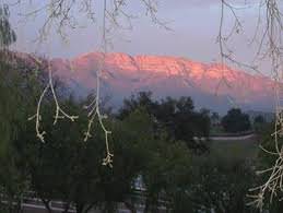 Pink Moment in Ojai