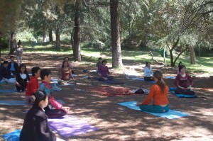 Breathwork and Yoga in Nature!