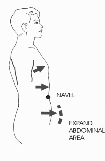 Abdominal Br Pic